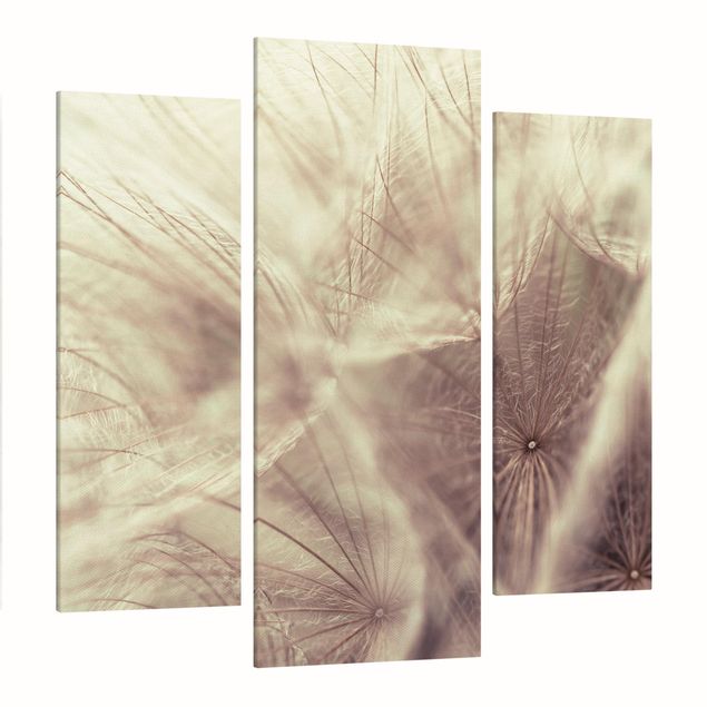 Billeder på lærred blomster Detailed Dandelion Macro Shot With Vintage Blur Effect