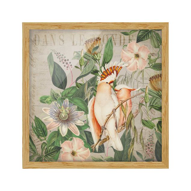 Billeder blomster Colonial Style Collage - Galah