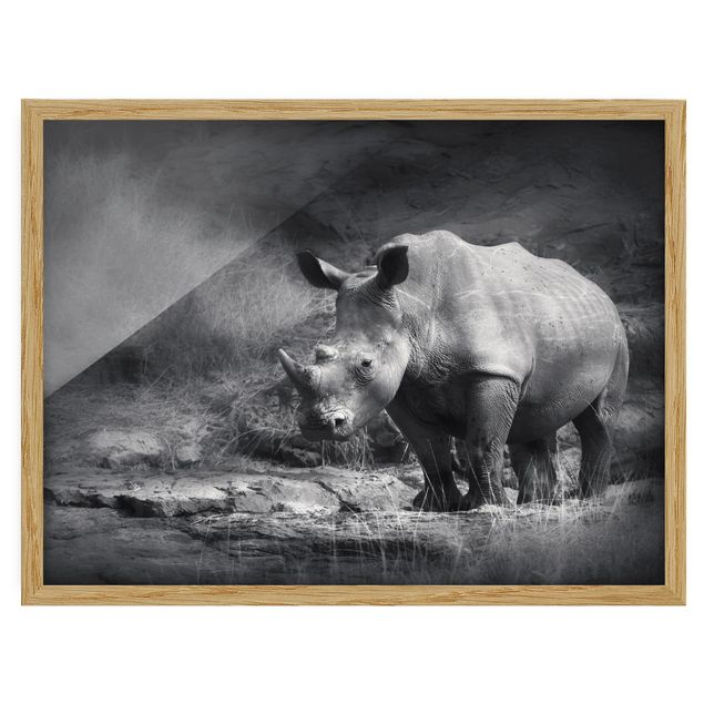 Indrammede plakater dyr Lonesome Rhinoceros