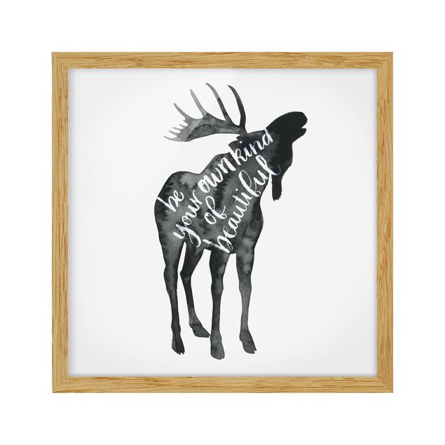 Billeder ordsprog Animals With Wisdom - Elk