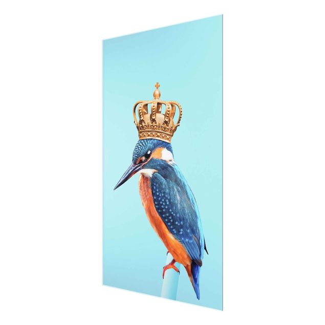 Billeder blå Kingfisher With Crown