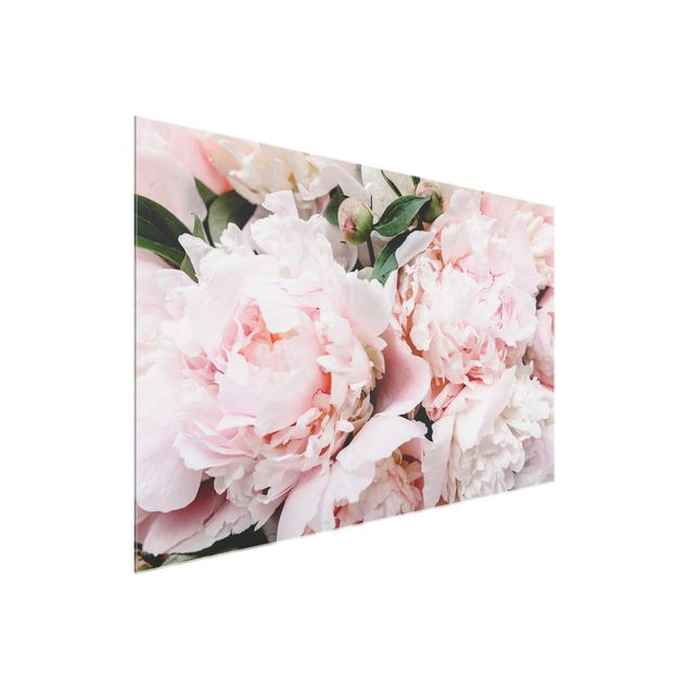Glasbilleder blomster Peonies Light Pink