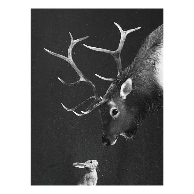 Glasbilleder sort og hvid Illustration Deer And Rabbit Black And White Drawing