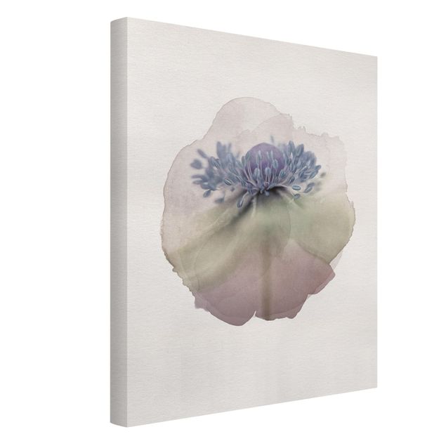 Billeder blomster WaterColours - Anemone In Violet