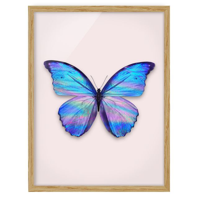 Indrammede plakater dyr Holographic Butterfly