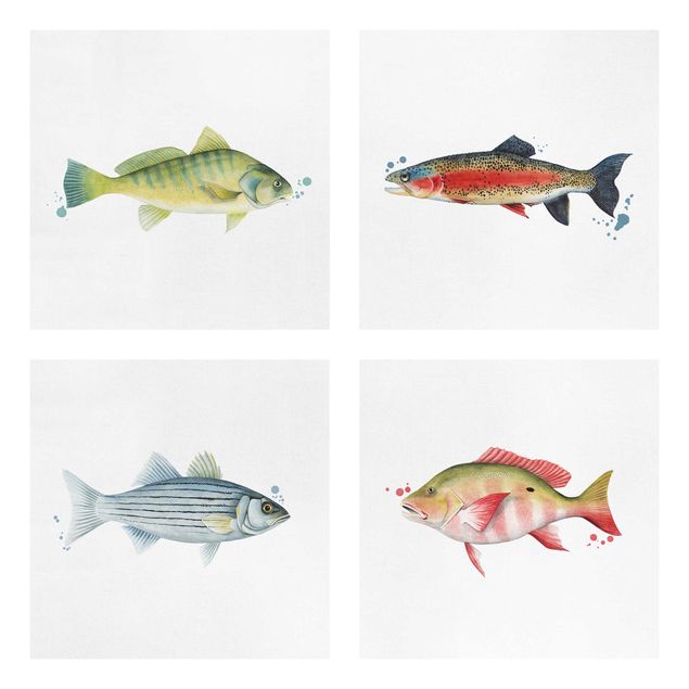 Billeder på lærred dyr Ink Trap - Fish Set I