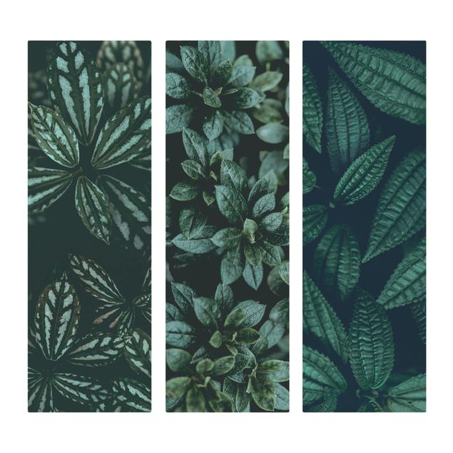 Billeder grøn Leaves Trio