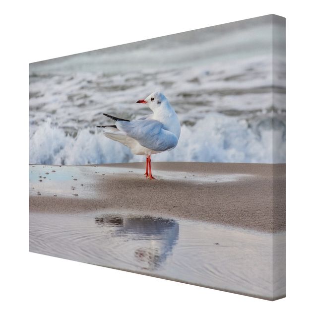 Billeder på lærred kunsttryk Seagull On The Beach In Front Of The Sea