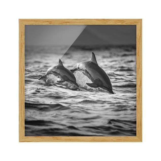 Indrammede plakater dyr Two Jumping Dolphins