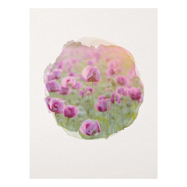 Glasbilleder blomster WaterColours - Violet Poppy Flowers Meadow In Spring