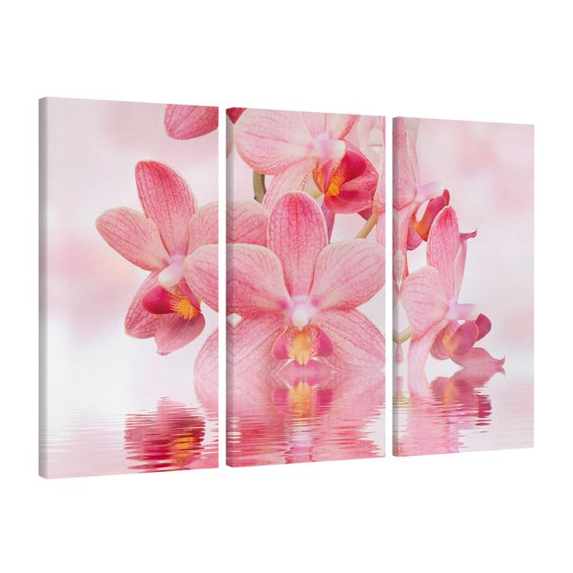 Billeder på lærred blomster Light Pink Orchid On Water
