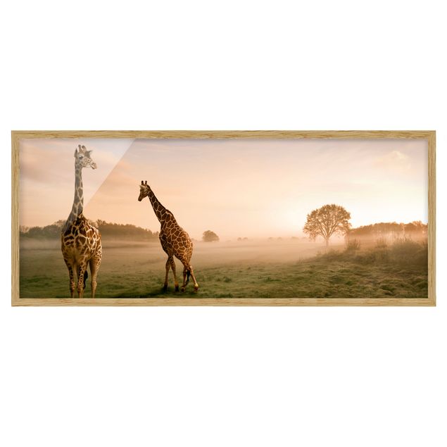 Indrammede plakater landskaber Surreal Giraffes