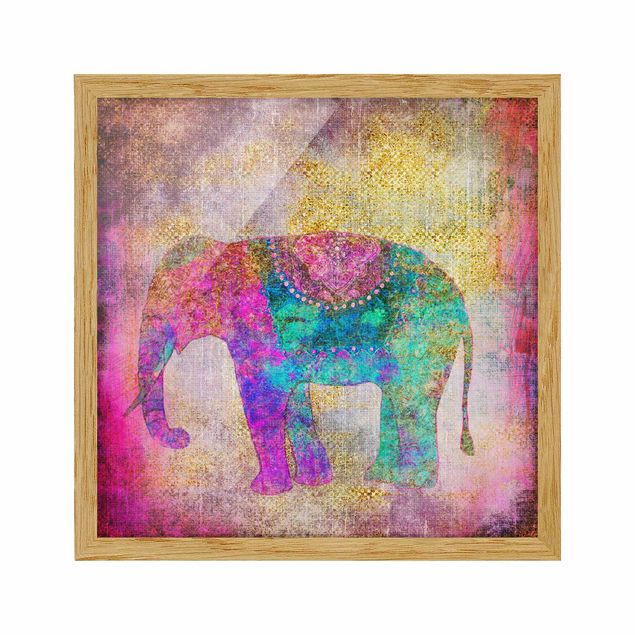 Billeder kunsttryk Colourful Collage - Indian Elephant
