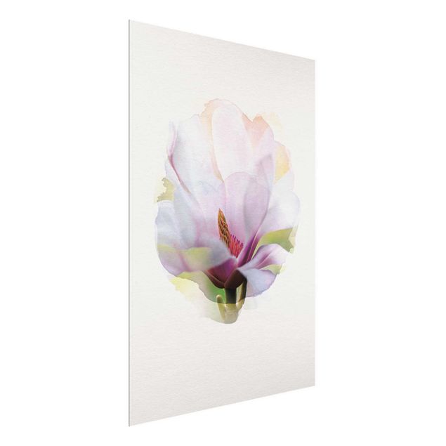 Billeder blomster WaterColours - Delicate Magnolia Blossom