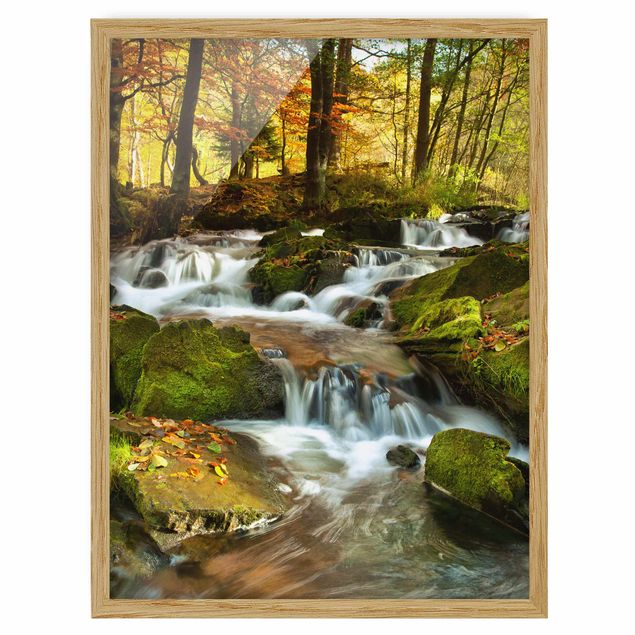 Indrammede plakater landskaber Waterfall Autumnal Forest