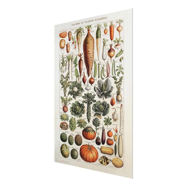 Billeder Vintage Board Vegetables
