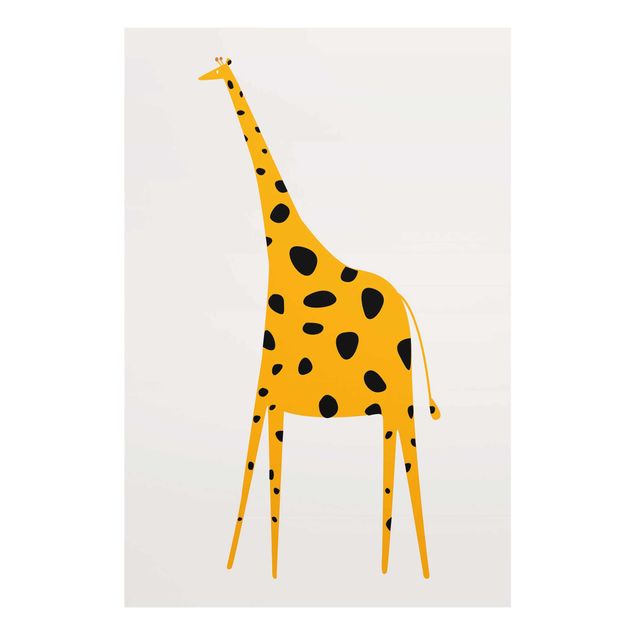 Billeder Afrika Yellow Giraffe