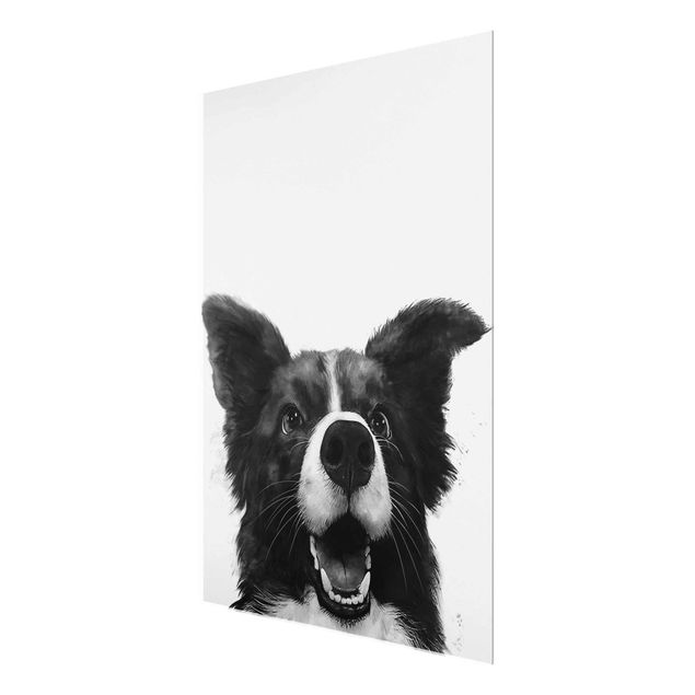 Billeder kunsttryk Illustration Dog Border Collie Black And White Painting