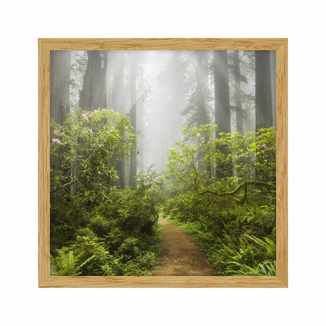 Indrammede plakater landskaber Misty Forest Path
