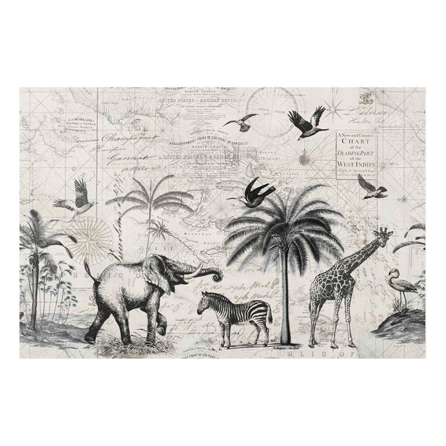 Billeder zebraer Vintage Collage - Exotic Map