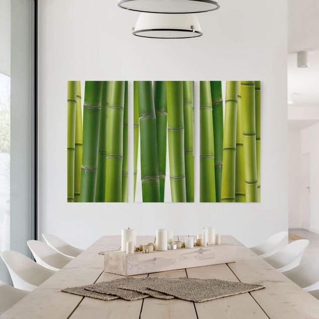 Billeder træer Bamboo Plants