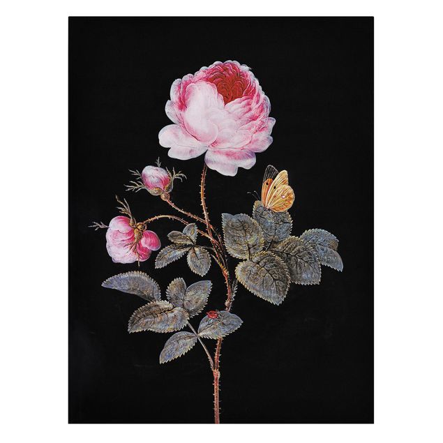 Billeder på lærred sommerfugle Barbara Regina Dietzsch - The Hundred-Petalled Rose