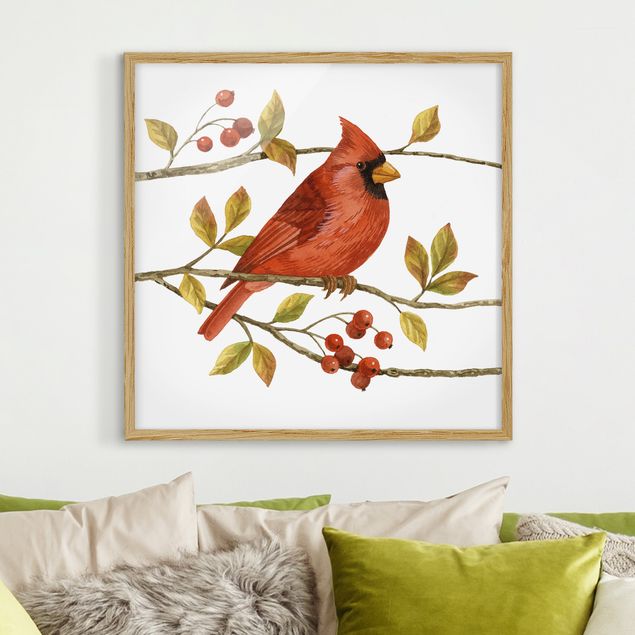 Indrammede plakater vintage Birds And Berries - Northern Cardinal