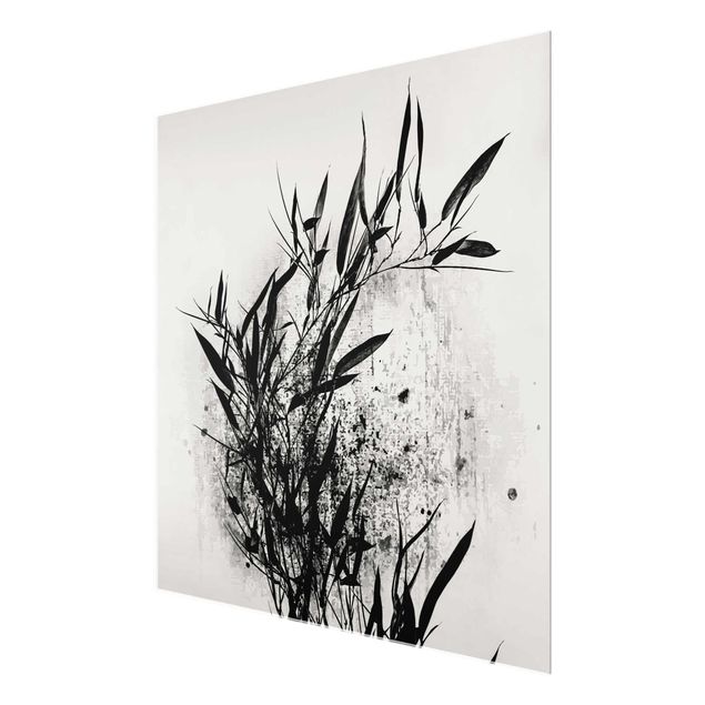 Glasbilleder blomster Graphical Plant World - Black Bamboo