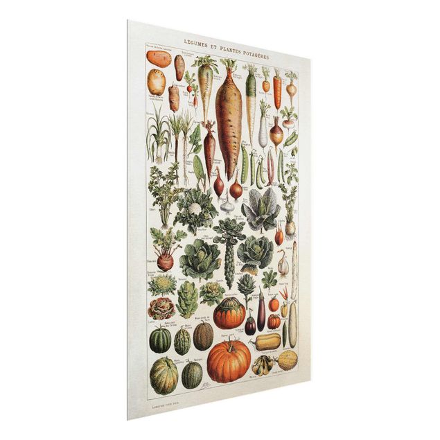 Billeder blomster Vintage Board Vegetables