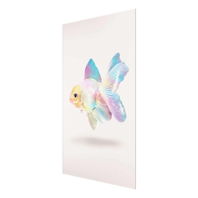 Billeder Jonas Loose Fish In Pastel