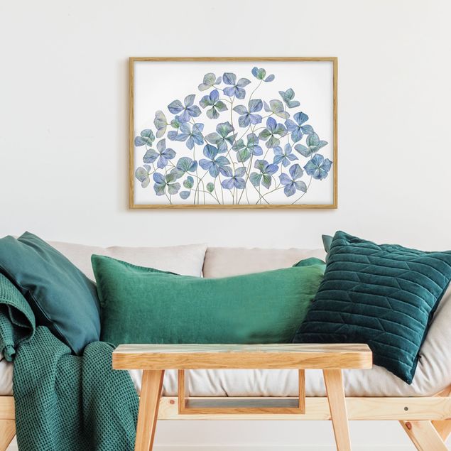 Indrammede plakater blomster Blue Hydrangea Flowers