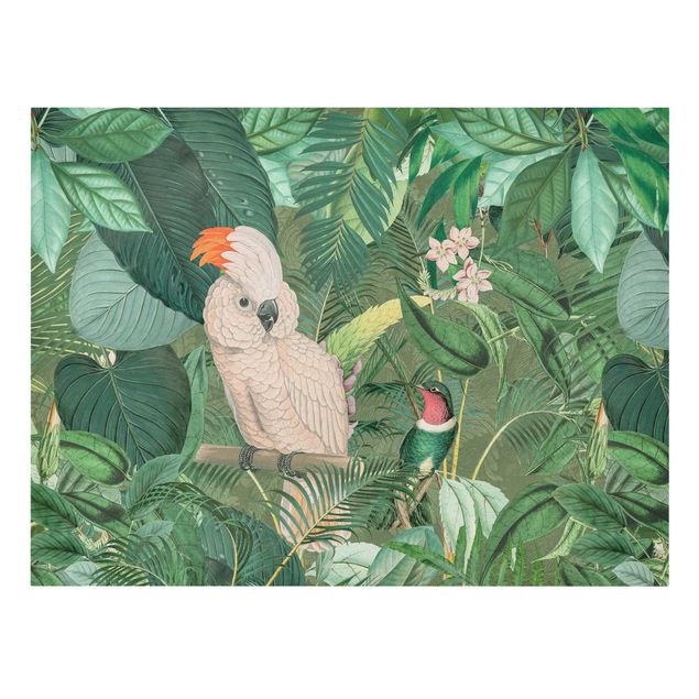 Billeder blomster Vintage Collage - Kakadu And Hummingbird