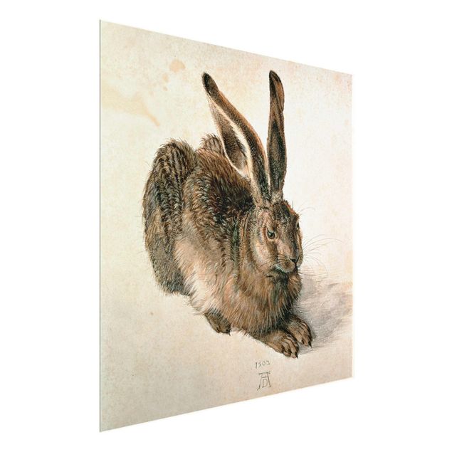 Glasbilleder dyr Albrecht Dürer - Young Hare