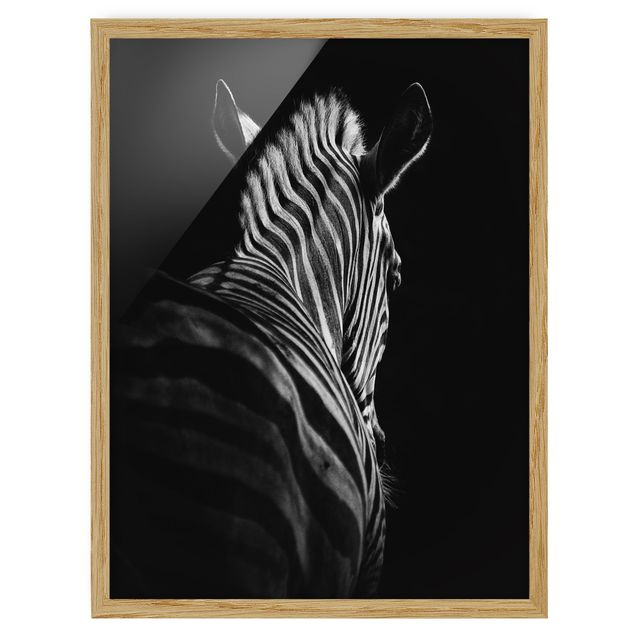 Indrammede plakater dyr Dark Zebra Silhouette