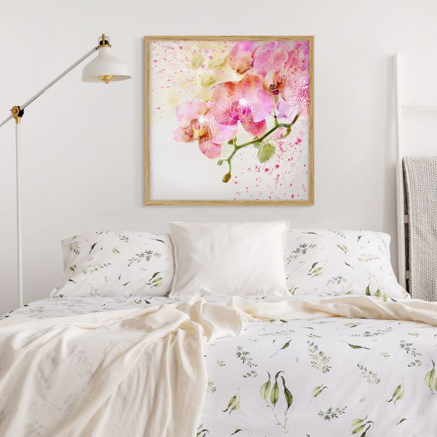 Indrammede plakater blomster Watercolour Flowers Orchids