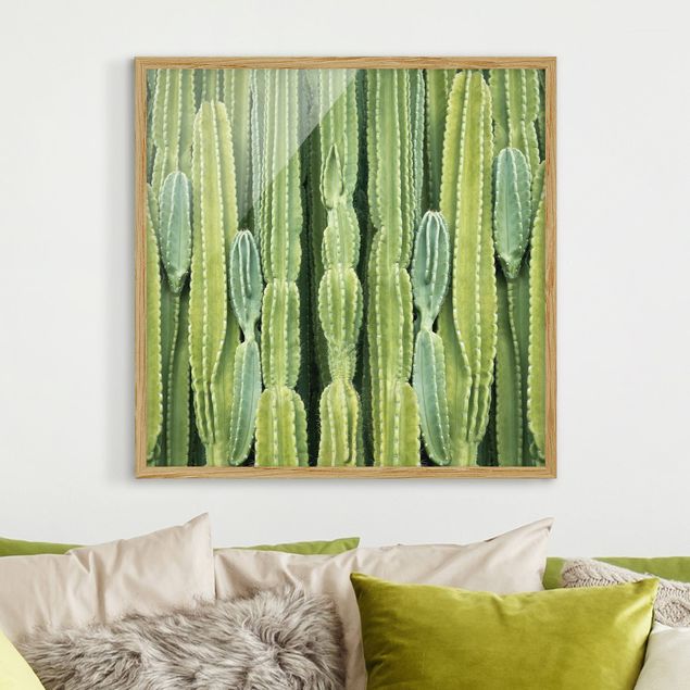 Indrammede plakater blomster Cactus Wall