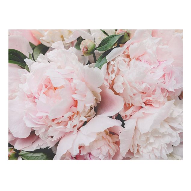 Billeder blomster Peonies Light Pink