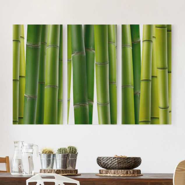 køkken dekorationer Bamboo Plants