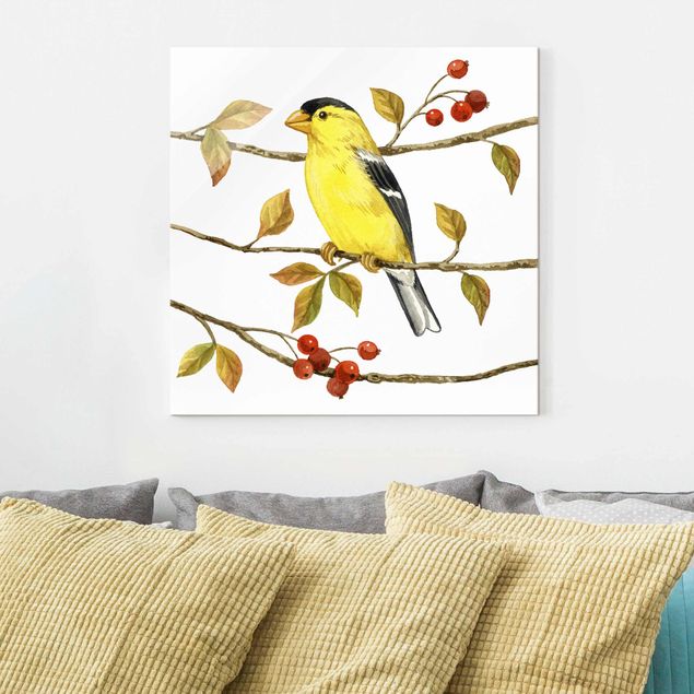 Glasbilleder dyr Birds And Berries - American Goldfinch