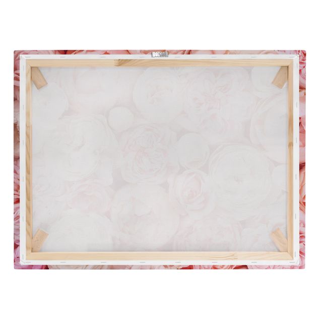 Billeder på lærred Roses Rosé Coral Shabby