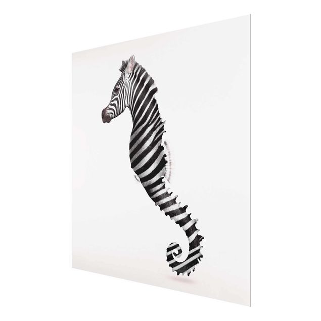 Glasbilleder sort og hvid Seahorse With Zebra Stripes