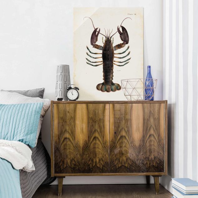 Glasbilleder dyr Vintage Illustration Lobster