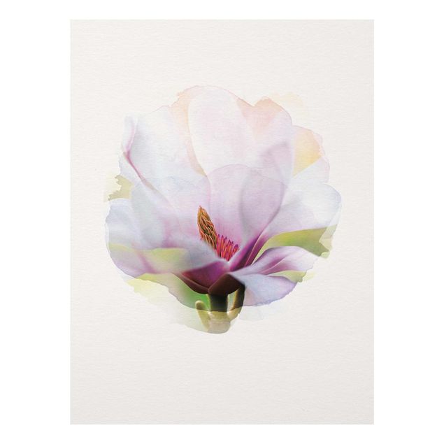 Billeder blomster WaterColours - Delicate Magnolia Blossom