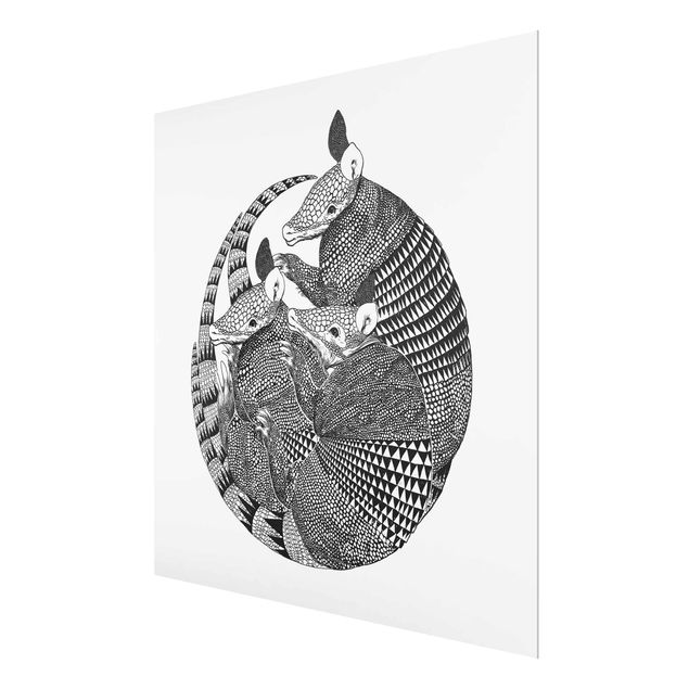 Billeder sort og hvid Illustration Armadillos Black And White Pattern