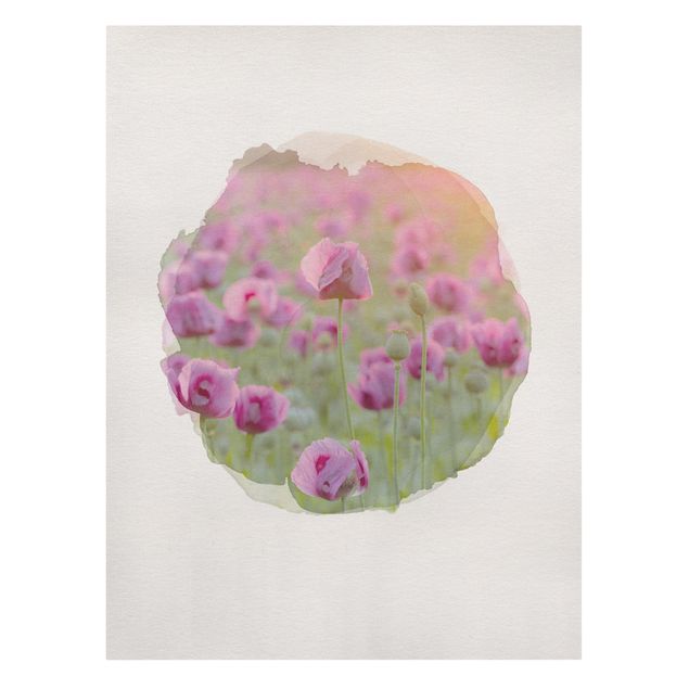 Billeder blomster WaterColours - Violet Poppy Flowers Meadow In Spring