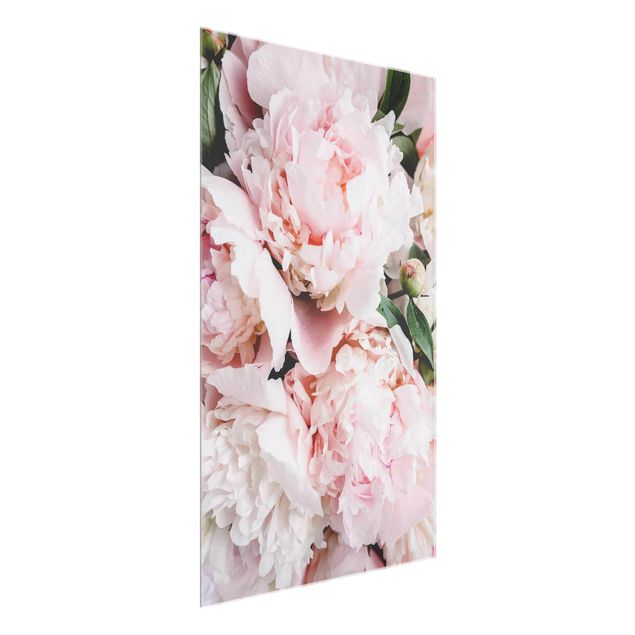 Glasbilleder blomster Peonies Light Pink