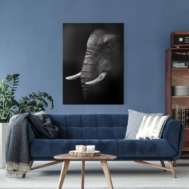 Billeder elefanter Dark Elephant Portrait