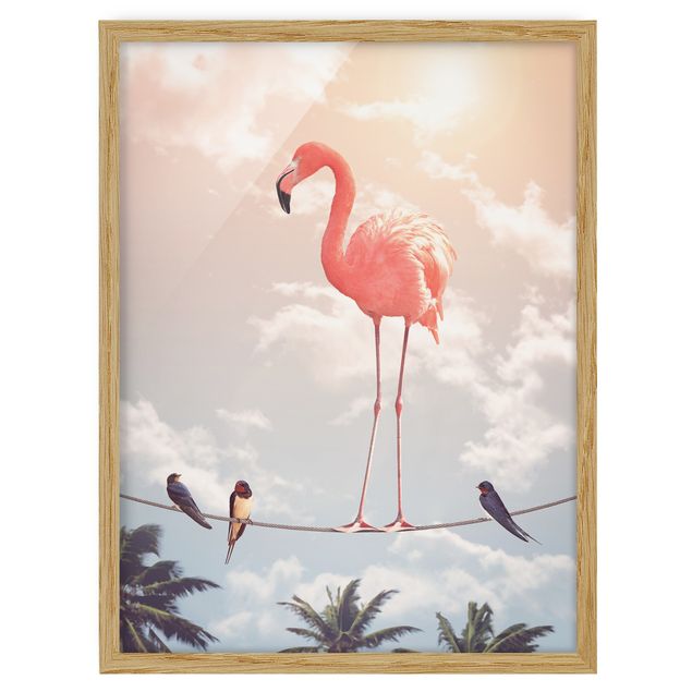 Billeder blomster Sky With Flamingo