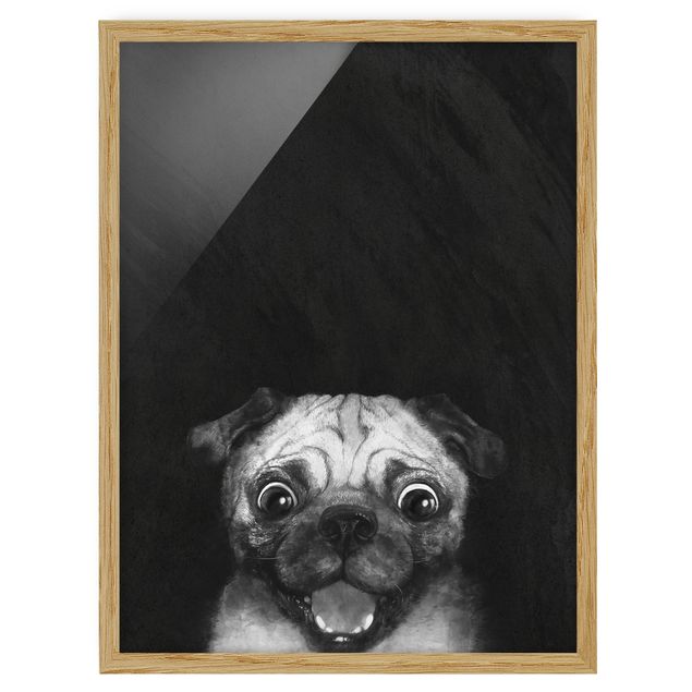 Indrammede plakater dyr Illustration Dog Pug Painting On Black And White