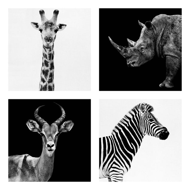 Billeder bjerge Safari Quartet
